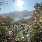 Domaine Le Lanis D'hotes Avec Sur Reservation Bed & Breakfast 4*