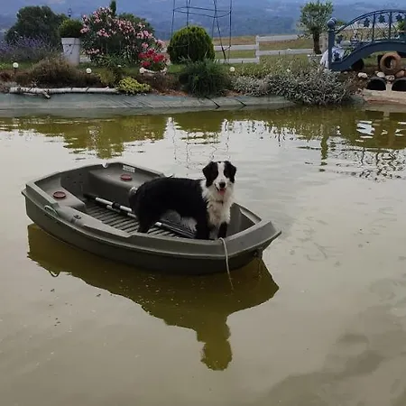 Frühstückspension Domaine Le Lanis D'hotes Avec Sur Reservation Saint-Girons (Ariege)