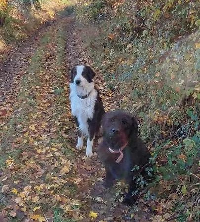 Domaine Le Lanis D'hotes Avec Sur Reservation Saint-Girons (Ariege)