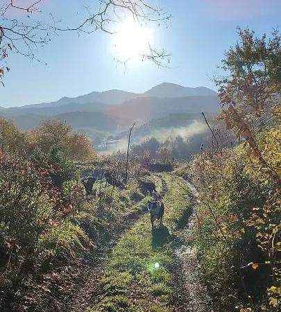 Domaine Le Lanis D'hotes Avec Sur Reservation Frühstückspension 4*