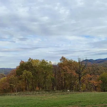 Domaine Le Lanis D'hotes Avec Sur Reservation Frühstückspension Saint-Girons (Ariege)