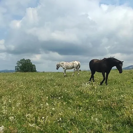 Frühstückspension Domaine Le Lanis D'hotes Avec Sur Reservation Saint-Girons (Ariege)
