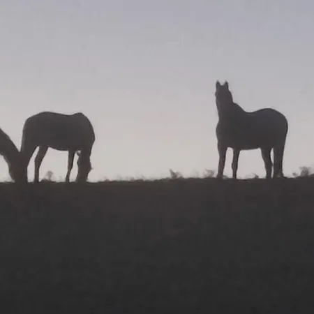 Frühstückspension Domaine Le Lanis D'hotes Avec Sur Reservation 4*