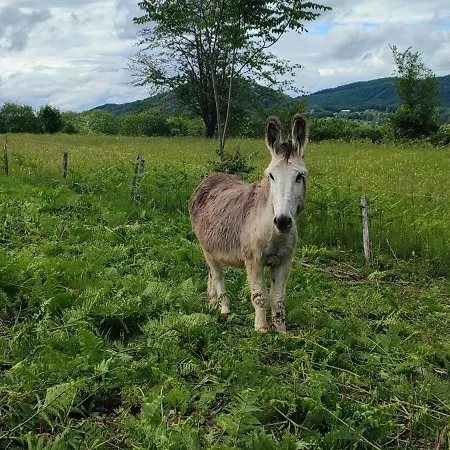 Domaine Le Lanis D'hotes Avec Sur Reservation Frühstückspension Saint-Girons (Ariege)