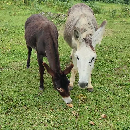 Domaine Le Lanis D'hotes Avec Sur Reservation