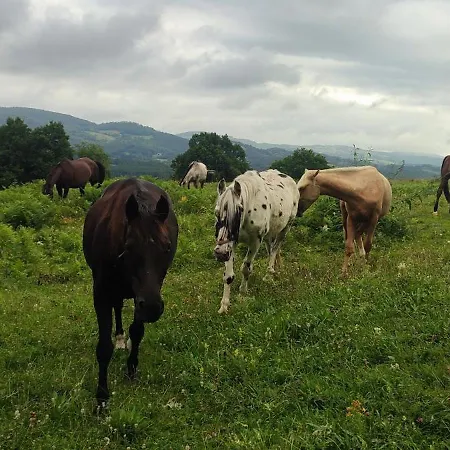 Bed & Breakfast Domaine Le Lanis D'hotes Avec Pscine