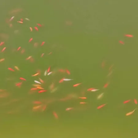 Domaine Le Lanis D'hotes Avec Sur Reservation Frühstückspension 4*