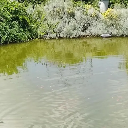 Domaine Le Lanis D'hotes Avec Sur Reservation 4*