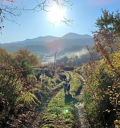 Domaine Le Lanis D'hôtes Avec Sur Réservation 4*