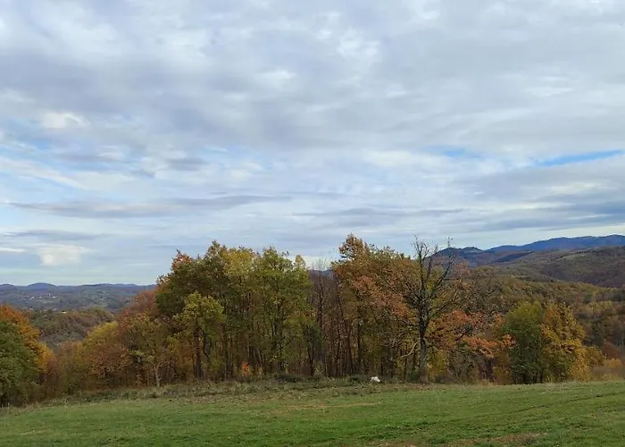 Domaine Le Lanis D'hôtes Avec Pscine Couette-café Saint-Girons (Ariege)